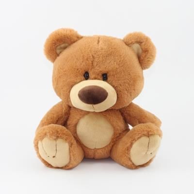 25CM CHARLTON BEAR with Tee Shirt - PROMOTIONAL CORPORATE GIFT