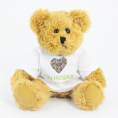25CM SPARKIE BEAR with Tee Shirt