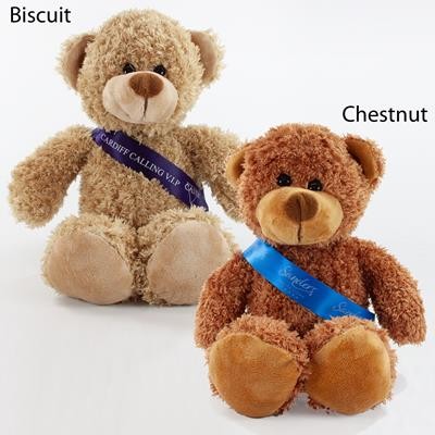 30CM BARNEY BEAR with Sash