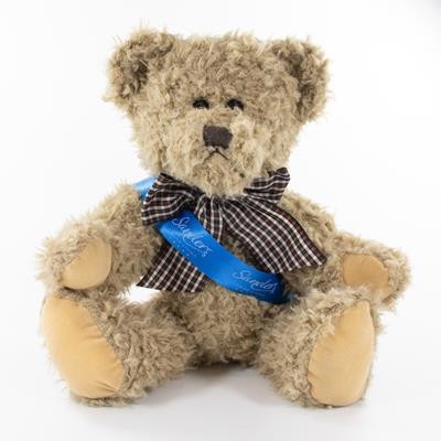 35CM WINDSOR BEAR with Sash