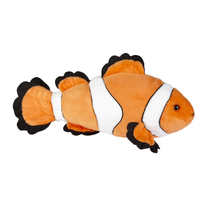 CLOWN FISH