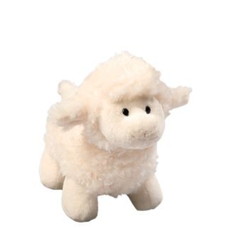 CONNOR SHEEP