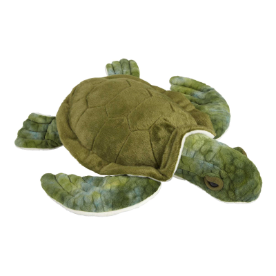 GREEN TURTLE