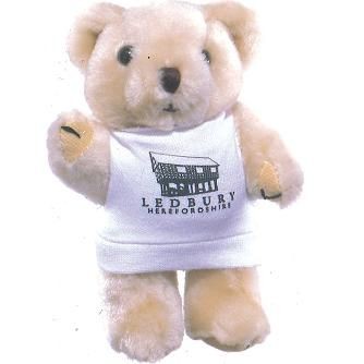 HONEY BEAR with Printed Tee Shirt