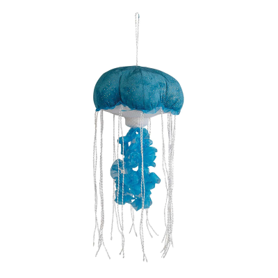 JELLY FISH