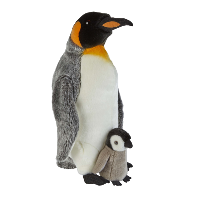 KING PENGUIN with Chick