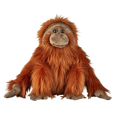 ORANG-UTAN