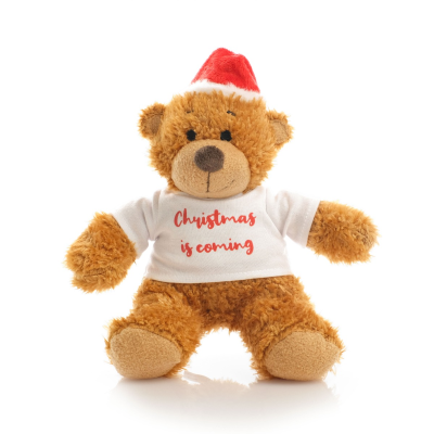 PRINTED 18CM ANNE FATHER CHRISTMAS SANTA BEAR