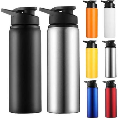 20OZ STAINLESS STEEL METAL WATER BOTTLE