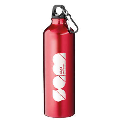 ALUMINIUM METAL BOTTLE with Carabiner (800Ml)