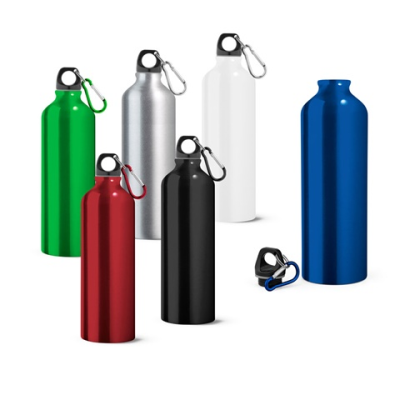 LANDSCAPE L ALUMINIUM METAL SPORTS BOTTLE with Carabiner 800 Ml