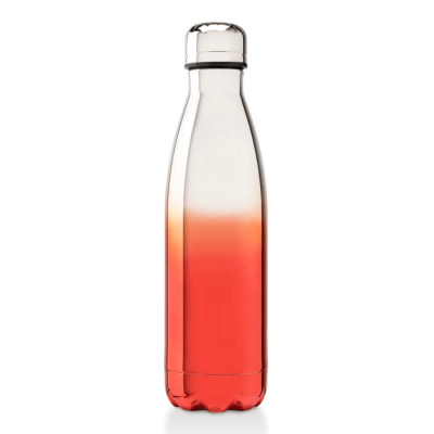 OASIS ELECTROPLATED WATER BOTTLE