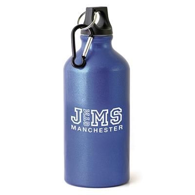 POLLOCK GLOSSY 550ML SPORTS BOTTLE in Blue