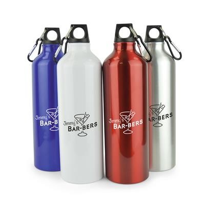 POLLOCK GLOSSY 750ML SPORTS BOTTLE