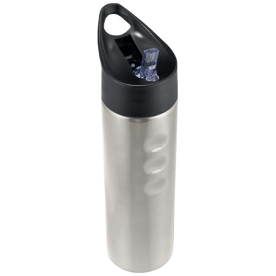 TRIXIE 750 ML STAINLESS STEEL METAL SPORTS BOTTLE