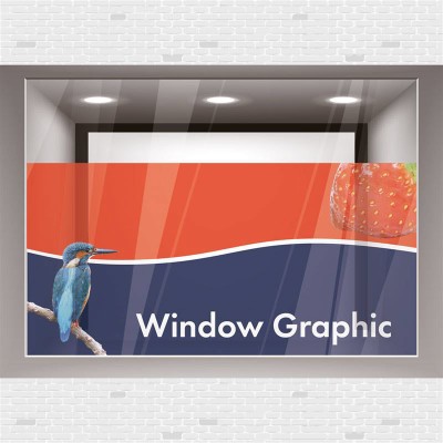 WINDOW GRAPHICS