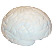 BRAIN LARGE STRESS ITEM