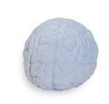 BRAIN SQUEEZIES STRESS ITEM