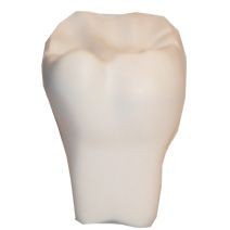 TOOTH 1 STRESS ITEM