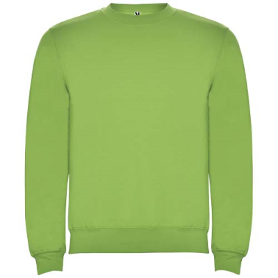 CLASICA CHILDRENS CREW NECK SWEATER