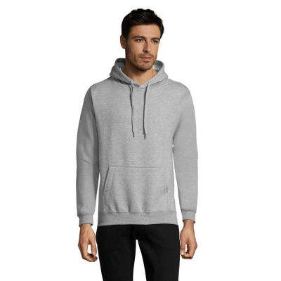 SNAKE HOOD SWEATER in Grey