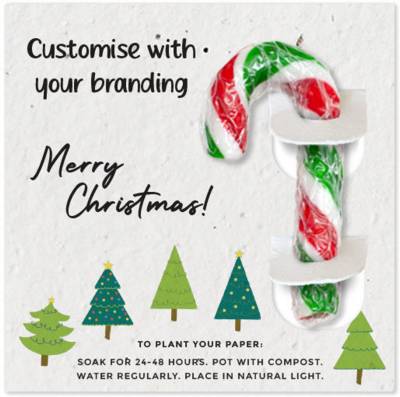 MINI CANDY CANE ON PLANTABLE SEEDS PAPER BACKING CARD