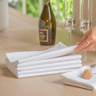 AZTEX PLAIN COTTON TEA TOWEL in White
