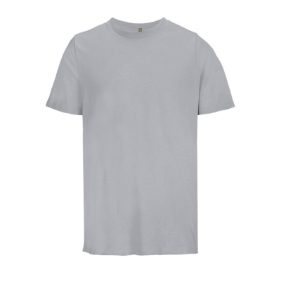 LEGEND TEE SHIRT ORGANIC 175G in Grey