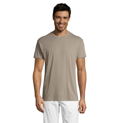 REGENT UNI TEE SHIRT 150G in Grey