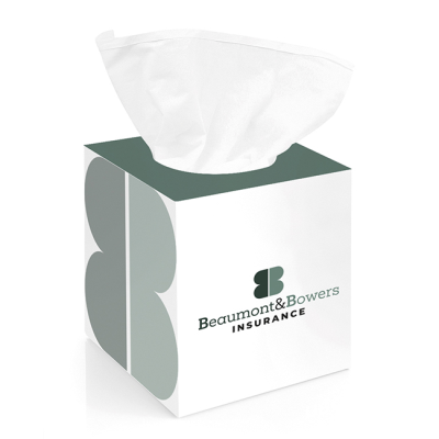 BOX OF 100 2-PLY WHITE TISSUE