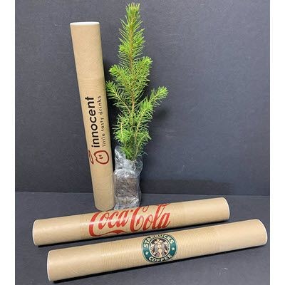 CHRISTMAS TREE in a Mailing Tube