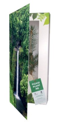 REAL LIVE NORWAY SPRUCE TREE in a Greeting Card