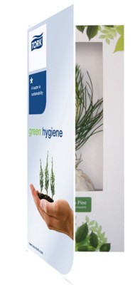 REAL LIVE NORWAY SPRUCE TREE in a Greeting Card