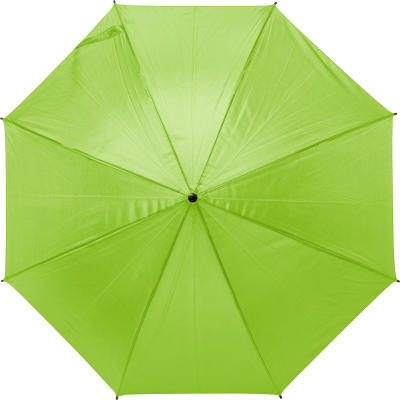 UMBRELLA in Lime