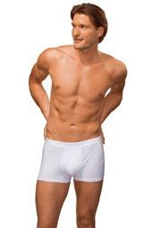 HANES UNDERWEAR MENS BOXERS