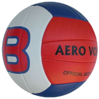 PROFESSIONAL VOLLEYBALL BALL