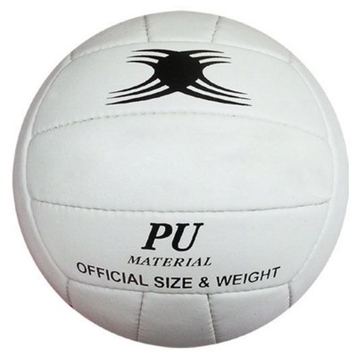PROFESSIONAL VOLLEYBALL BALL