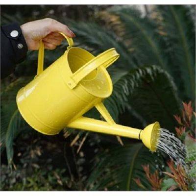 METAL WATERING CANS