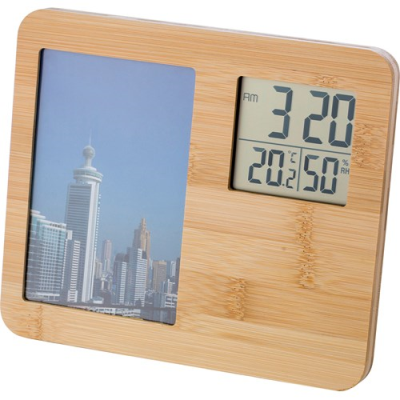 WEATHER STATION in Brown