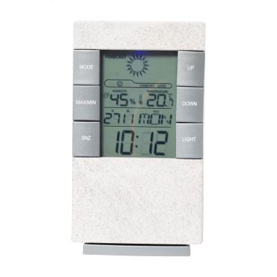 WEATHER STATION in White