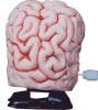CLOCKWORK WIND UP TOY BRAIN